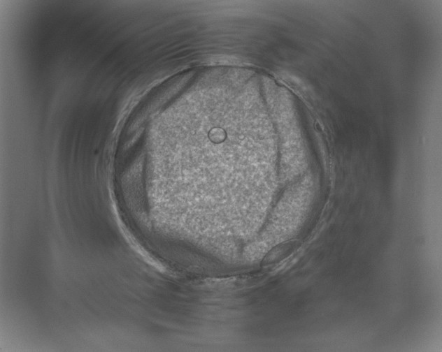 X0000074210049200609221952