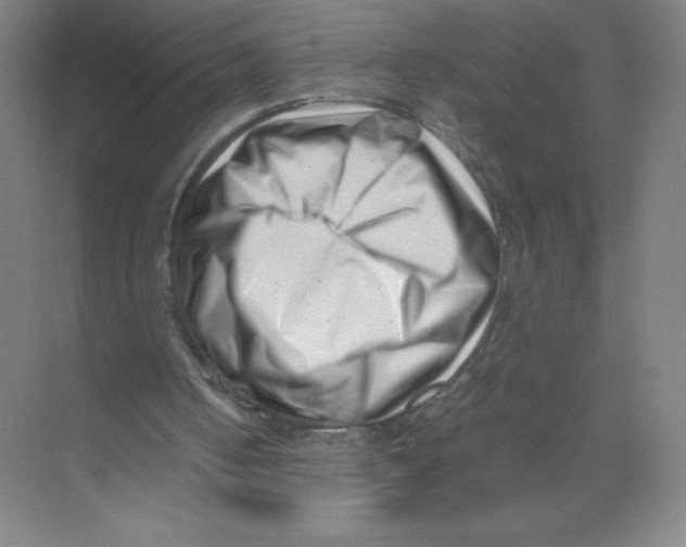 X0000074210050200609221952