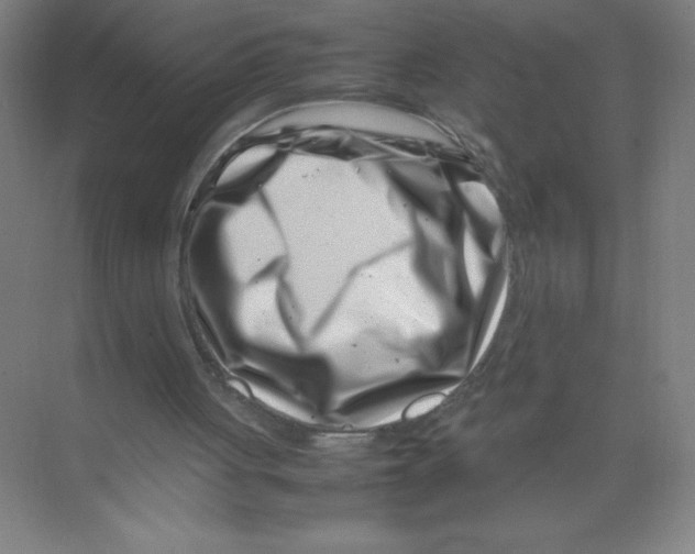 X0000074210051200609221952