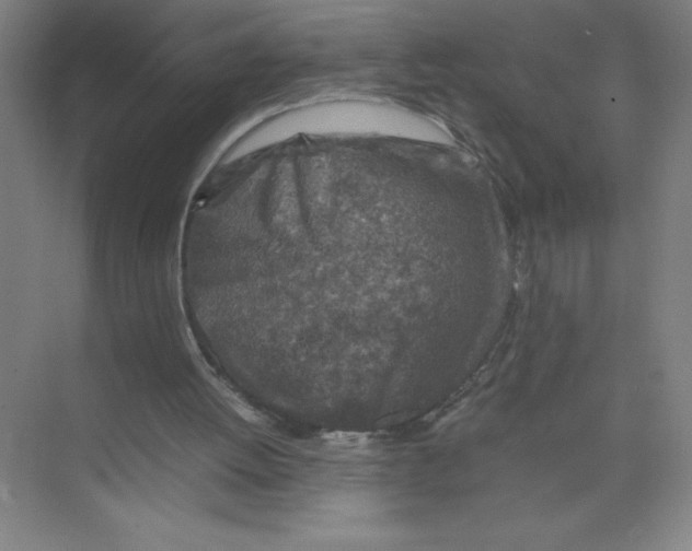 X0000074210052200609221952