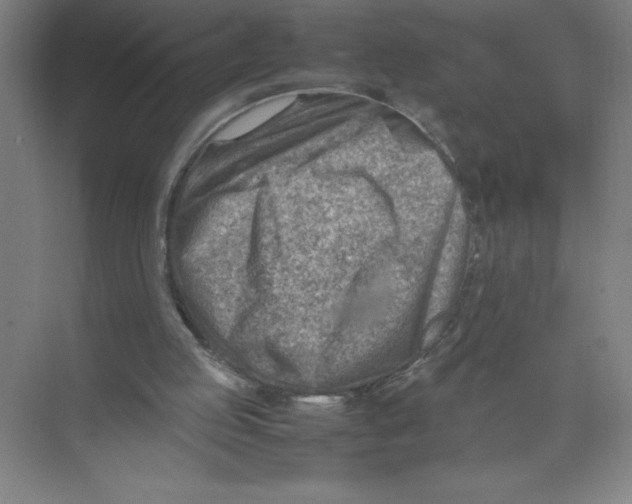 X0000074210053200609221952