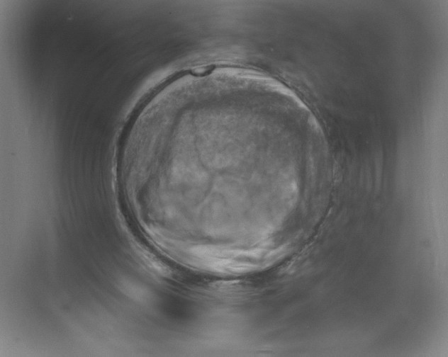 X0000074210054200609221952