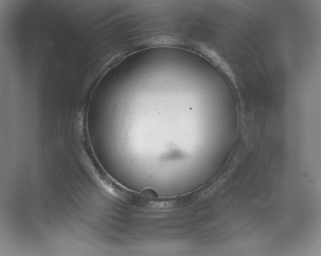 X0000074210057200609221952