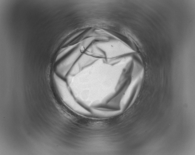 X0000074210058200609221952