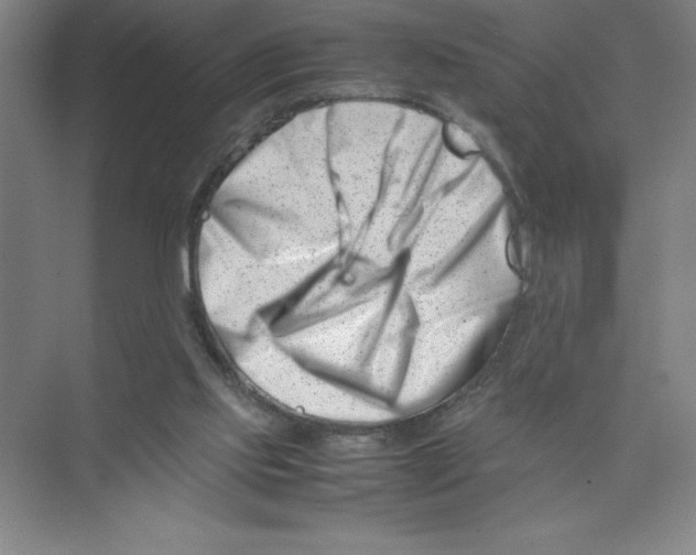 X0000074210061200609221952