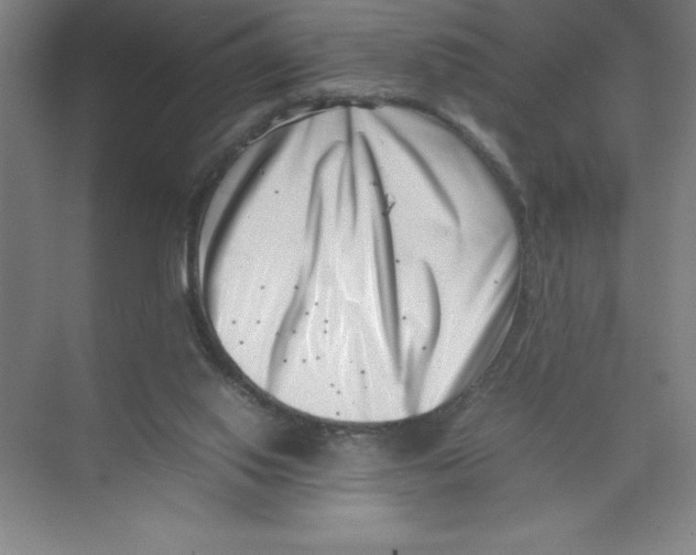 X0000074210062200609221952