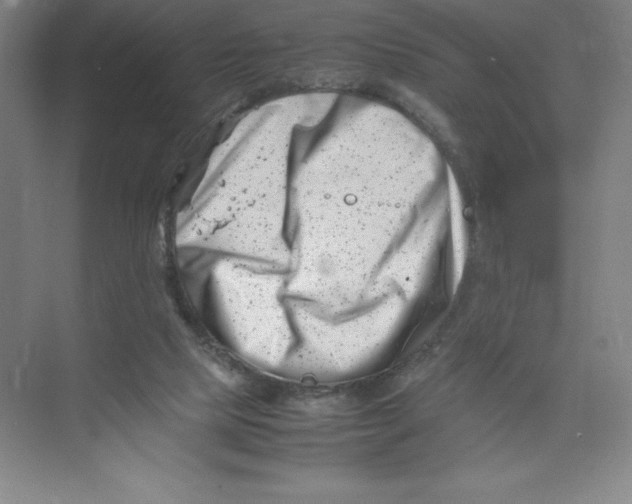 X0000074210065200609221952