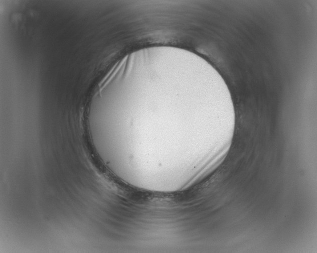 X0000074210066200609221952