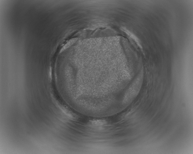 X0000074210067200609221952