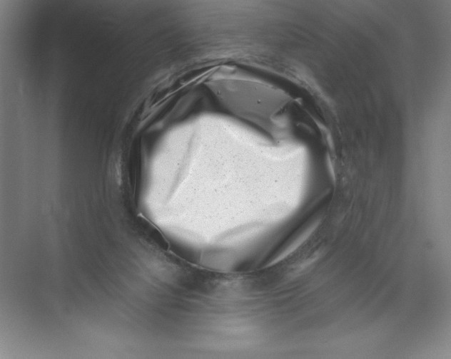 X0000074210068200609221952