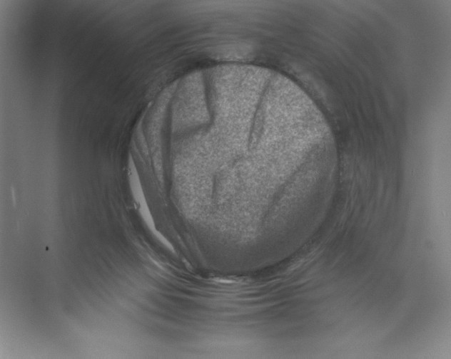 X0000074210069200609221952