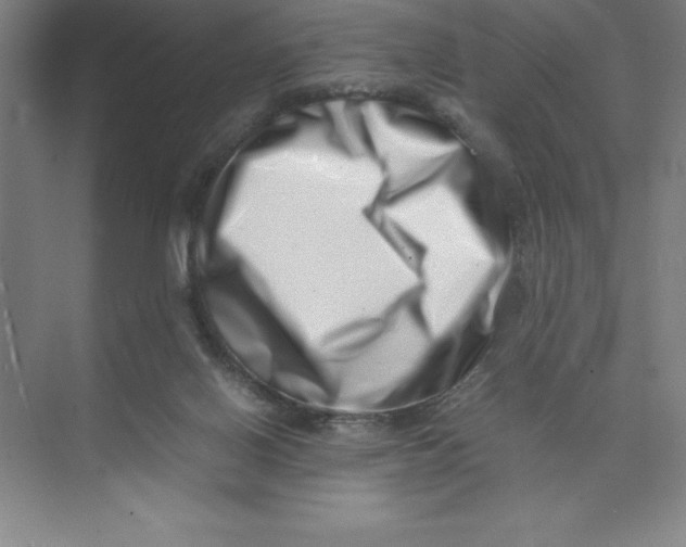 X0000074210070200609221952