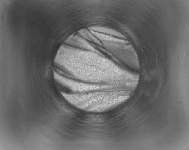 X0000074210073200609221952