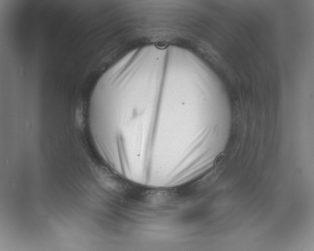 X0000074210074200609221952