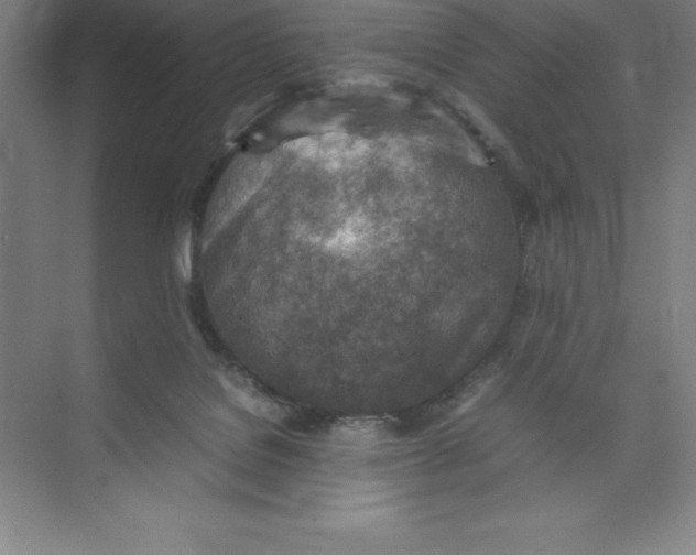 X0000074210076200609221952