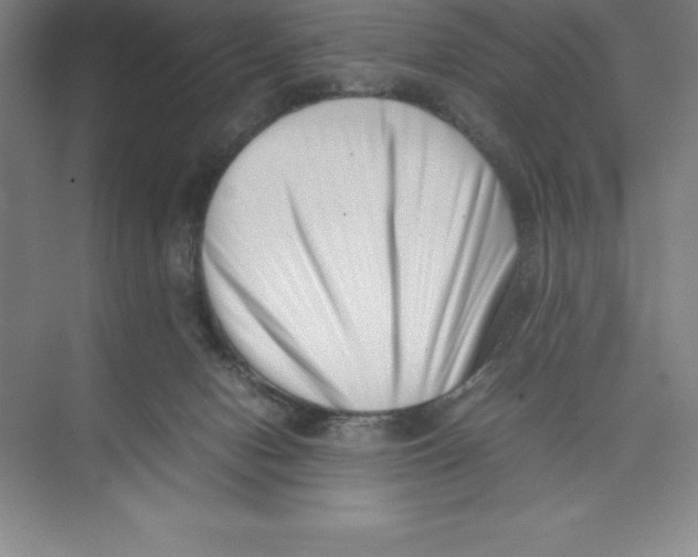 X0000074210078200609221952