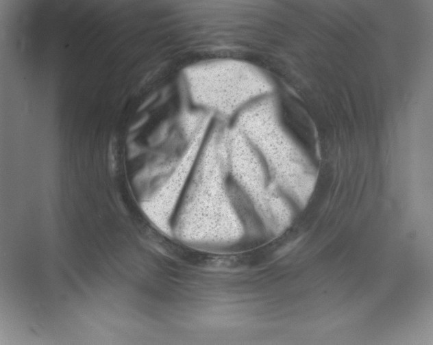 X0000074210080200609221952