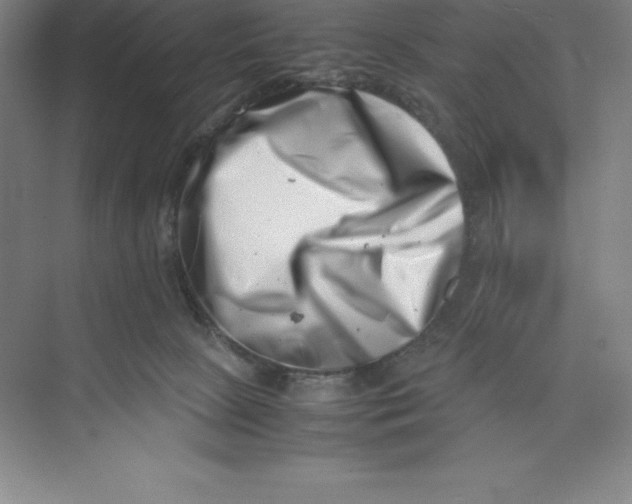 X0000074210081200609221952