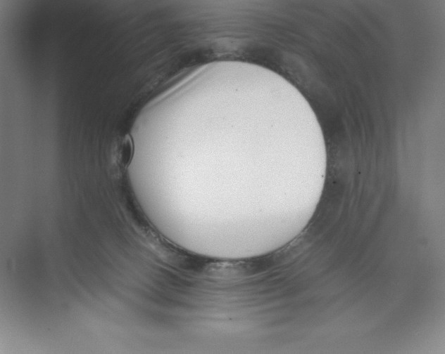 X0000074210082200609221952