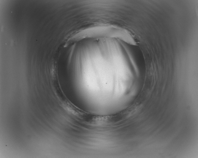 X0000074210084200609221952