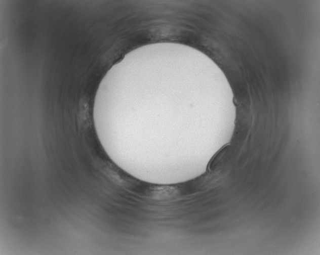 X0000074210087200609221952