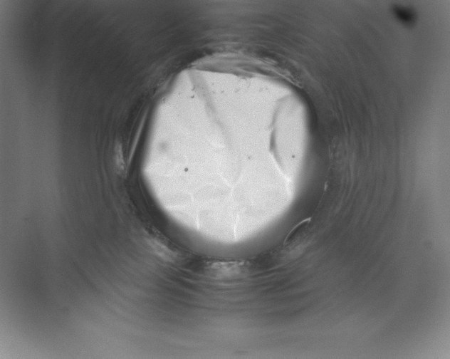 X0000074210089200609221952