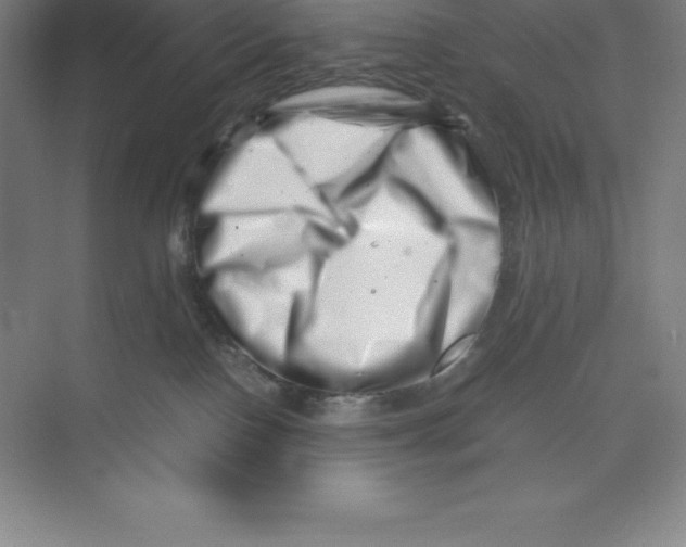 X0000074210090200609221952