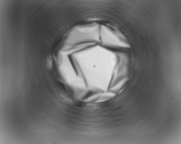 X0000074210095200609221953