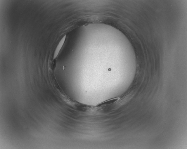 X0000074210096200609221953