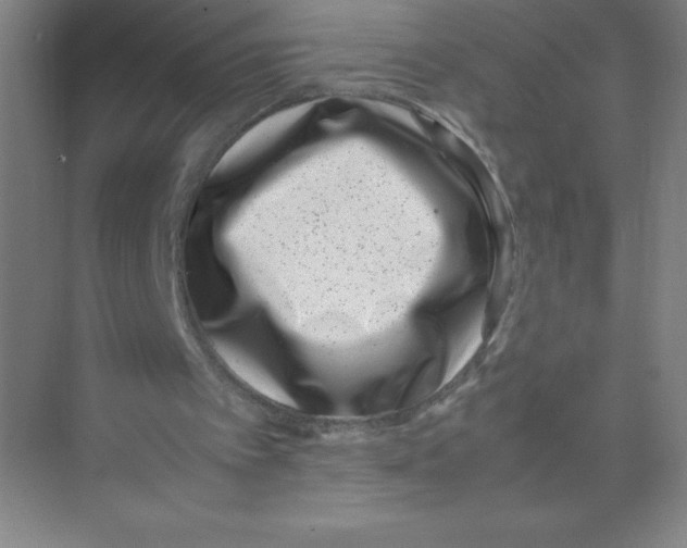 X0000074210097200609221952