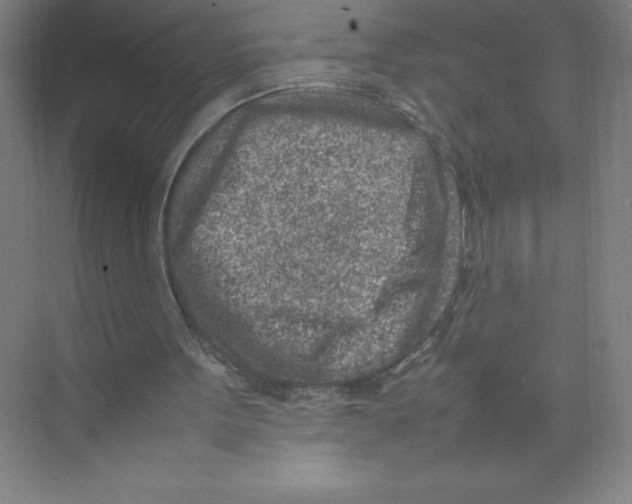 X0000074210099200609221952