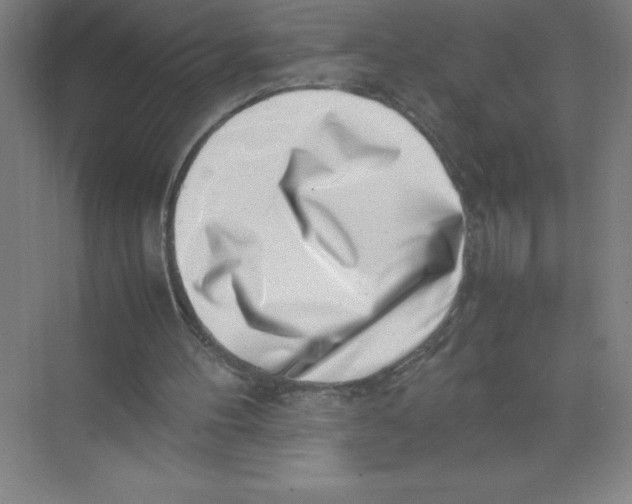 X0000074210100200609221952