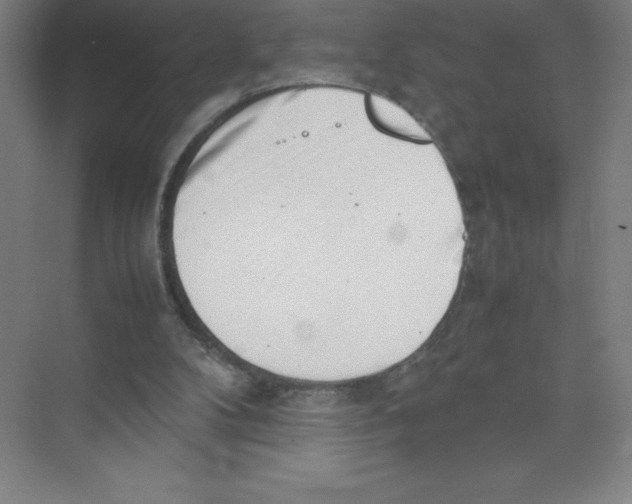 X0000074210104200609221952