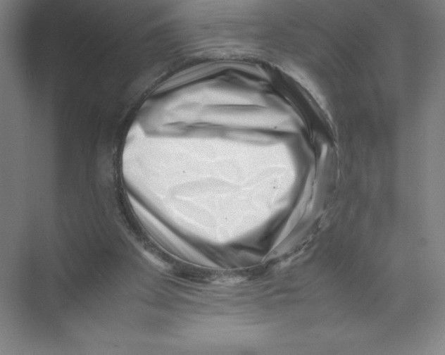 X0000074210105200609221952