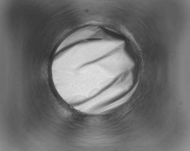 X0000074210106200609221952