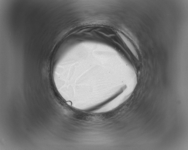 X0000074210107200609221952