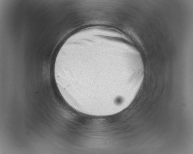 X0000074210108200609221952