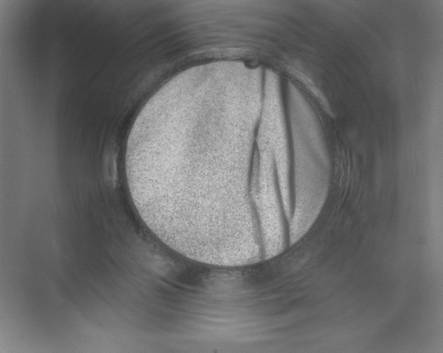 X0000074210110200609221952