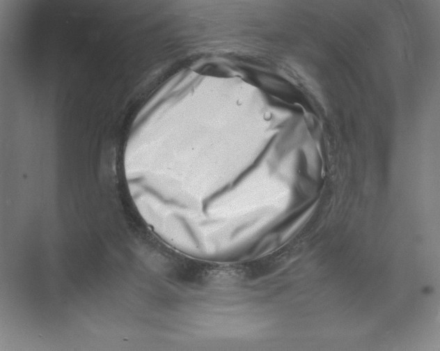 X0000074210115200609221951