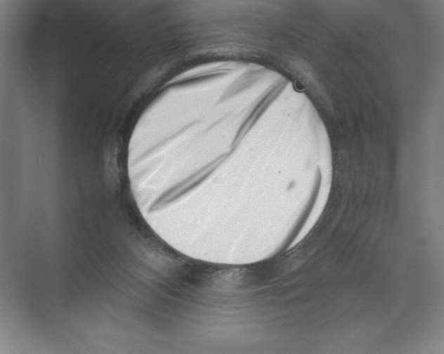 X0000074210116200609221951