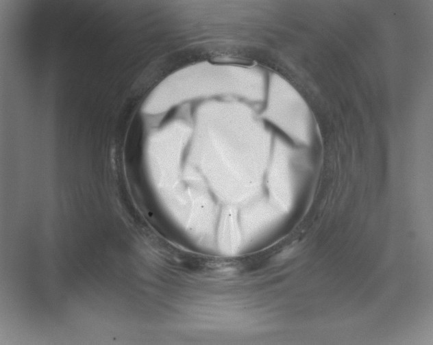 X0000074210117200609221951