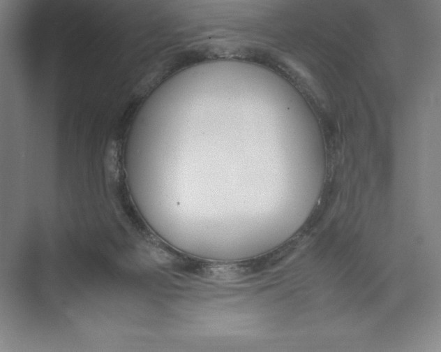 X0000074210121200609221951