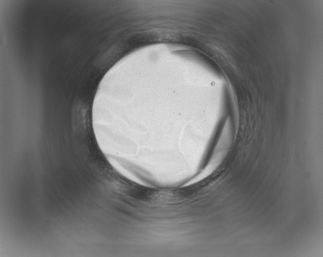 X0000074210123200609221951