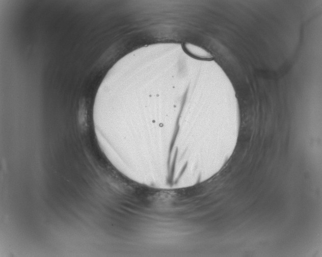 X0000074210124200609221951