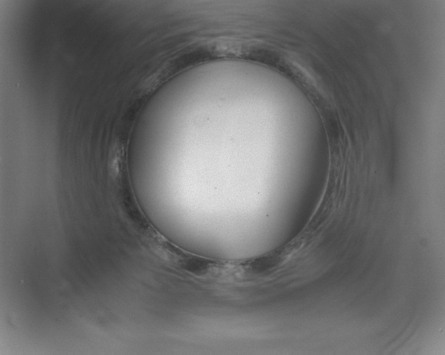 X0000074210125200609221951