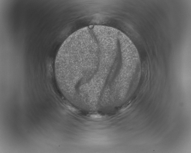 X0000074210127200609221951