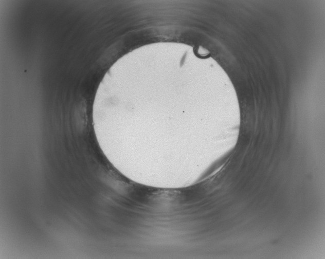 X0000074210128200609221951