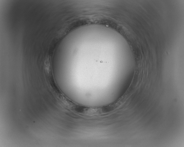 X0000074210129200609221951