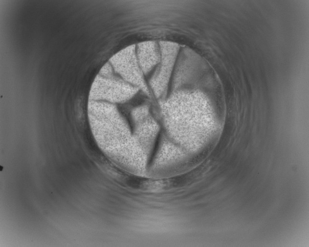 X0000074210131200609221951