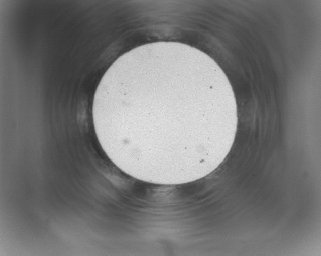 X0000074210132200609221951